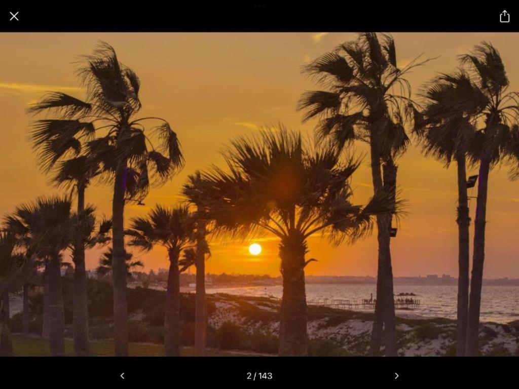 Folla Palm Apartament